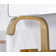 Dayani Centerset 2-handle Bathroom Faucet with Drain Assembly