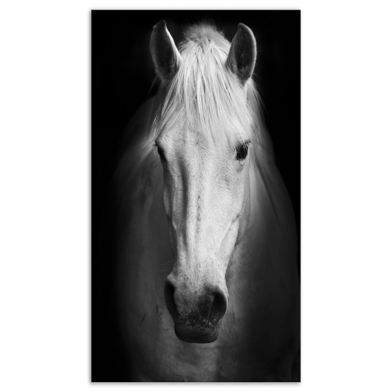 Cheval, reproduction d'art sur toile, cheval noir et blanc, H 60 po x l 28 po, Toile tendue, Sans cadre