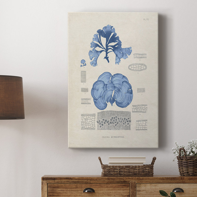 Blue Marine Algae IV - Gallery Cavas sur mesure, H 36 po x l 24 po