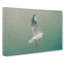 Seagull In Abstract - Wrapped Canvas-55340475