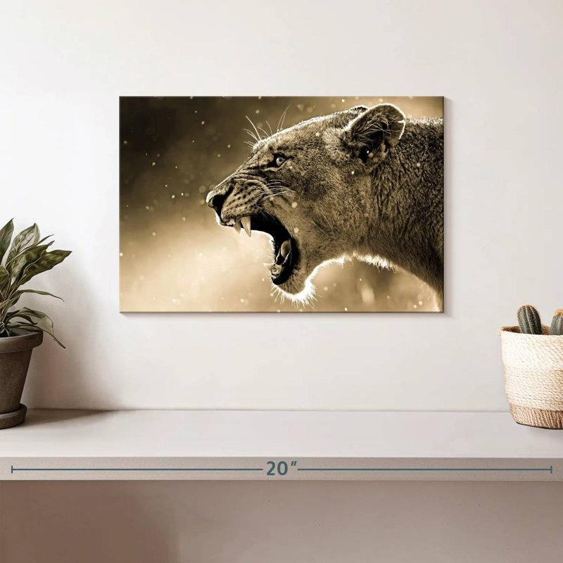 Brampt Enraged Lioness, 8" H x 12" W