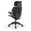 Freedom Headrest Ergonomic Task Chair - Autumn-1383268632