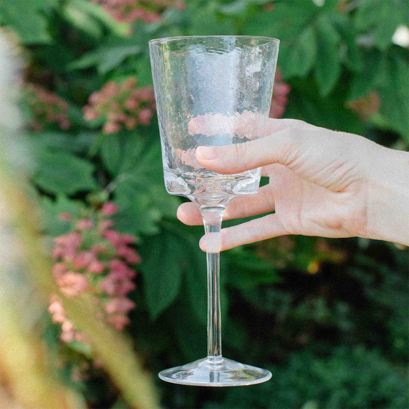 18,8 onces verre à vin tout usage Shaner