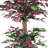 72" Artificial Ficus Tree in Pot