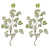 Blanc, vert, brun est en rupture de stock