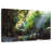 Alvord Forest In Panama-107490022