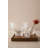 Kosta Boda Moss Serving Bowl