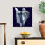 « Indigo shells I » par vision studio-impression-1160195861-1160195871