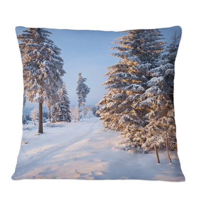Throw Pillow