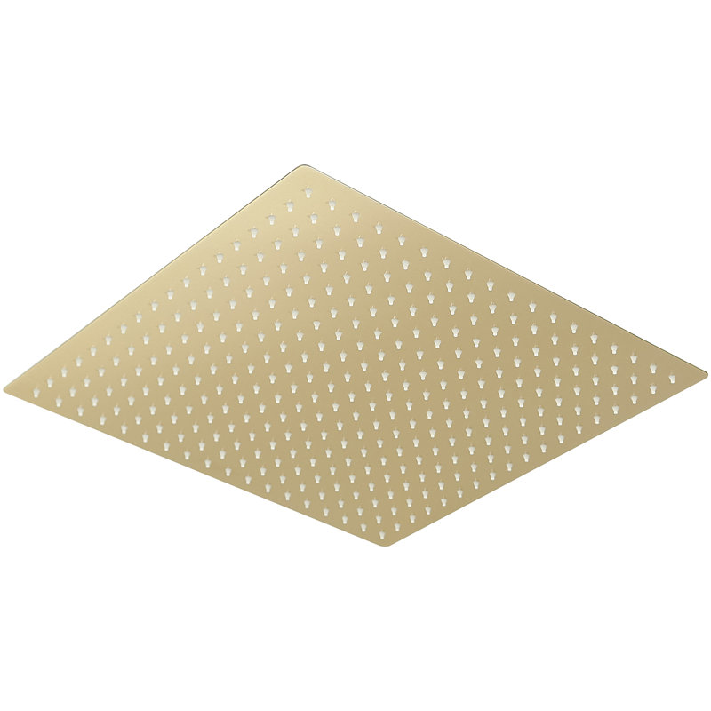 Adjustable Shower Head 2.5 GPM GPM, Brushed Gold