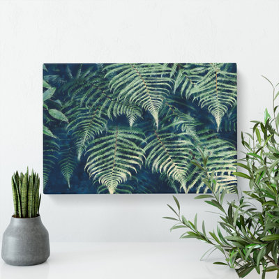 Fern Leaves Vol.1 Painting - Wrapped Canvas