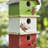 Jaquelyne 14 in x 7 in x 5 in Birdhouse