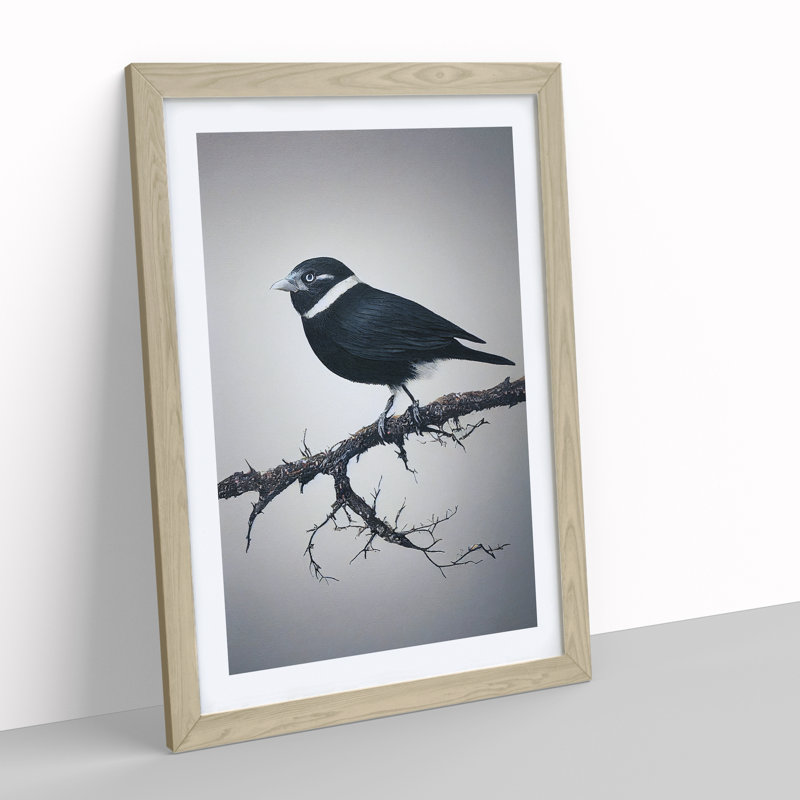 Bird Upon A Tree - Wall Art, 36cm H x 27cm W x 2cm D, Oak Framed, White