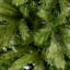 Arbre de Noël d'aspect épinette verte-374795487