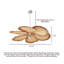 Wabi-Sabi Style Petal-Shaped Lafite Chandelier-133228451