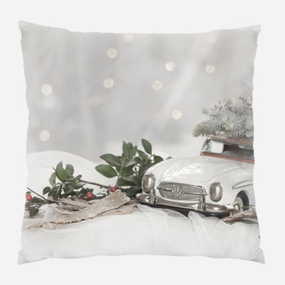 Canvas Outdoor Reversible Throw Pillow