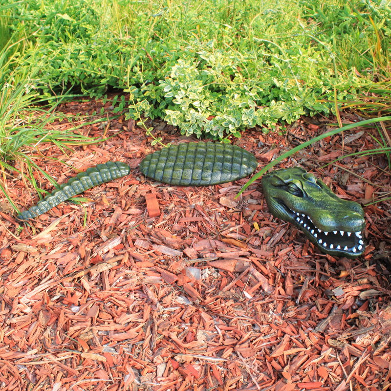 Fearless Lawn Gator of the Castle Moat Garden Statue