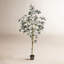 Arbre en pot Winnetka-27703839