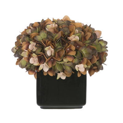 Hydrangeas Arrangement in Vase