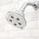 Alexandria 2.5 GPM Multi Function Adjustable Shower Head
