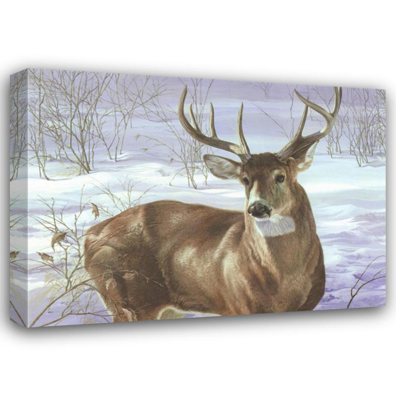 Par ma fenêtre - Cerf de Virginie, H 17 po x l 24 po