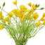 Poppy Arrangement in Glass Vase
