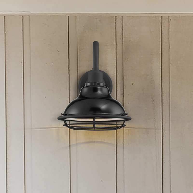 Luminaire de grange d'extérieur Leonardo, Noir lustré / argenté, H 12,38 po x l 9,75 po x P 13,5 po, Noir