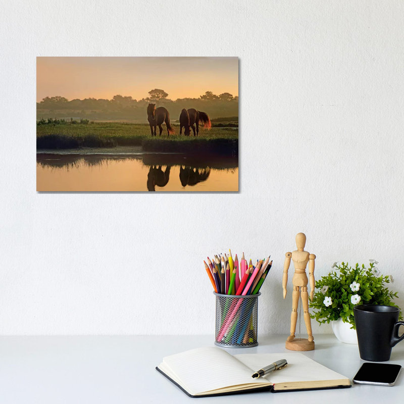 Wild Horse Pair Grazing At Assateague Island National Seashore, Maryland by Tim Fitzharris - Wrapped Canvas Print