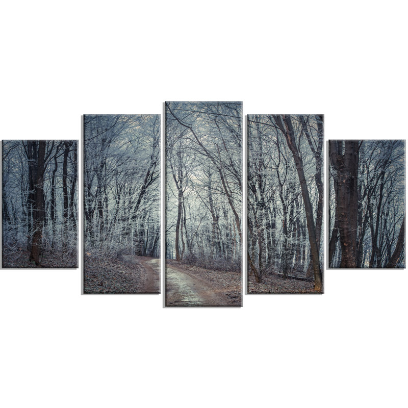 " Dense Gray Fall Forest Path " 5 - Pieces