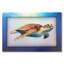 Décoration murale tortue-596007966