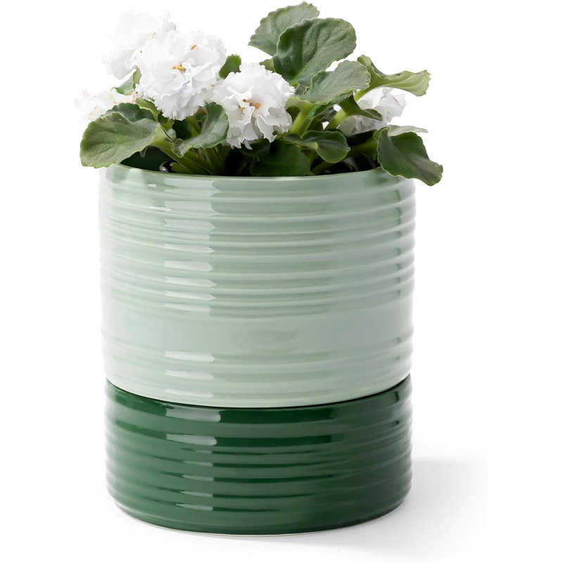 6" Self-watering Ceramic Planter