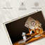 Jeu sur papier et impression sur toile-587115829