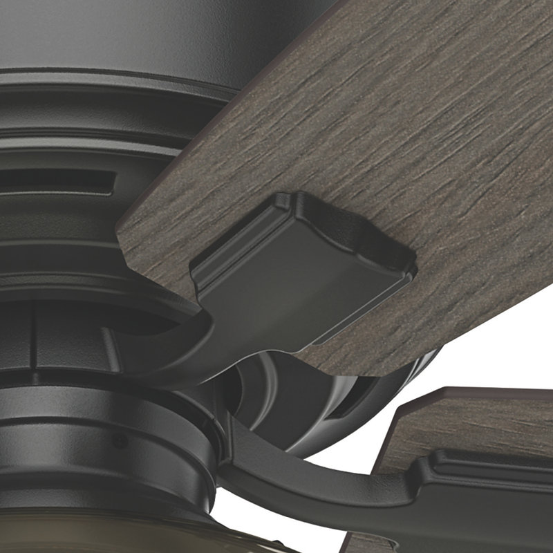 52" Bennett 5 - Blade Flush Mount Ceiling Fan with Lights and Remote, Matte Black