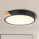 Beezie Acrylic LED Flush Mount