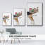 Chouettes de Noël-1829005168-1829005173