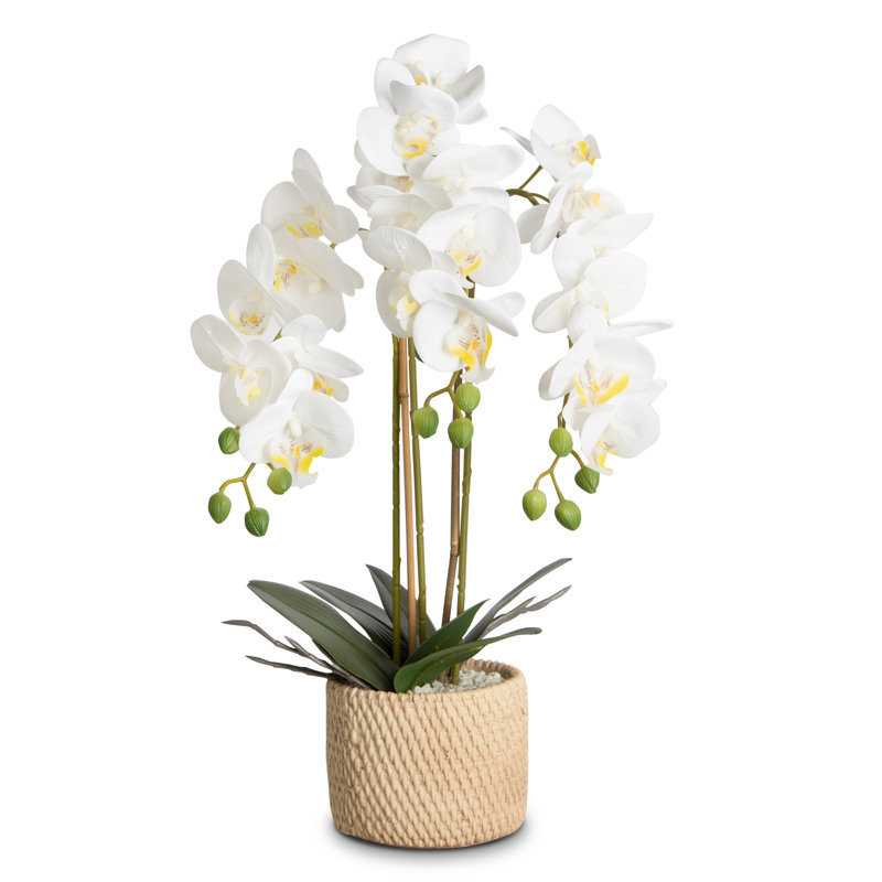 Faux Silk Orchid Arrangement In Pot