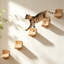 Ensemble de 5 plateformes flottantes murales pour chat