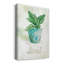 Basilic en pot - peinture-664558825-664558823