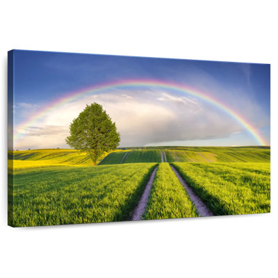 Alvord Rainbow Over Green Fields