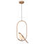 1 - Light Chandelier LED Chandelier