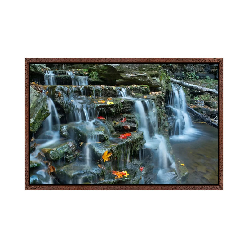 Kitchen Creek Cascades, Autumn, Ricketts Glen State Park, Pennsylvania 1 Piece Floater Frame Wall Art on Canvas, Brown
