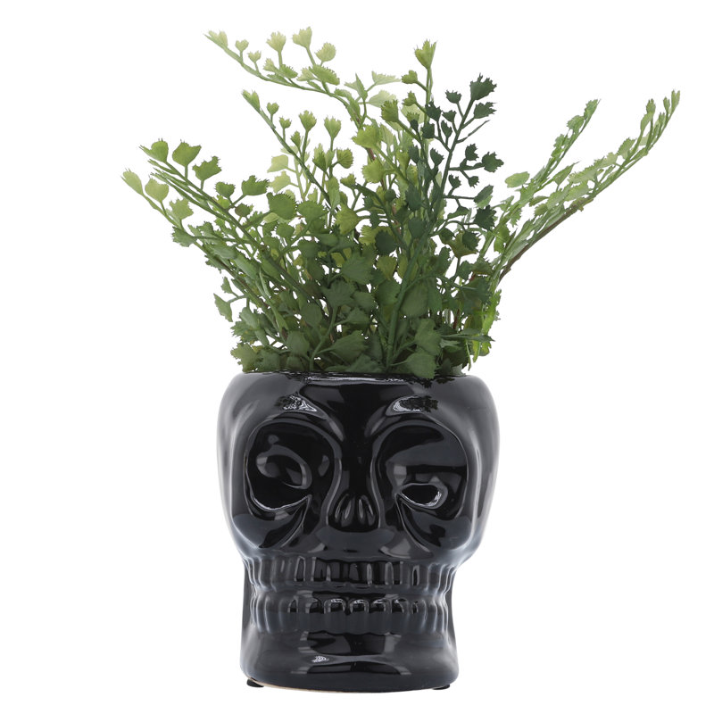 Vase en céramique en forme de crâne., Blanc, H 5 po x l 5 po x P 5 po