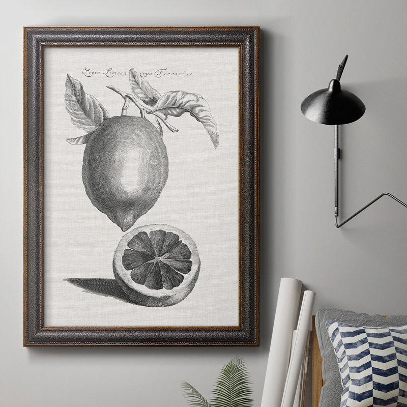 Antique citrons et oranges III - reproduction d'art sur toile, H 20 po x l 16 po x P 2,5 po