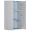 Amirbek Rectangle Accent Cabinet-365778036