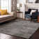 Cerrito Area Rug with Non-Slip Backing