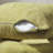 Decorative Throw Cushion Covers-70158566-70158548