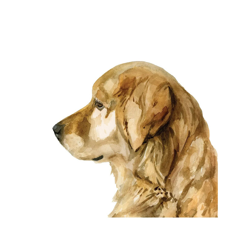 Pet Profile I by Victoria Barnes - Wrapped Canvas Painting, 93.98 cm H x 93.98 cm W x 3.175 cm D