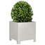 Ashvini Planter Box-501376796-501376785