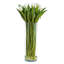 Colner Glass Cylinder Vase Set-1866809940-1860858808