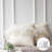 Feather Throw Pillow-1770346777-1770346752-1811082070